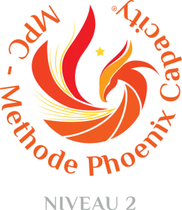 Phoenix-Capacity-Macarons-NIVEAU-2